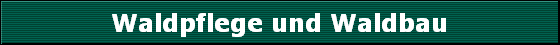 Waldpflege und Waldbau